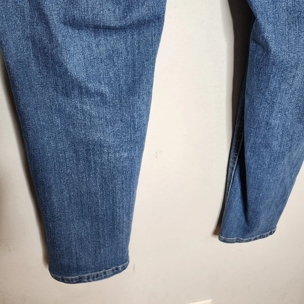 Gemma‎ Rae Stretch Denim Highrise Distressed Jeans Women's Plus Size 24W